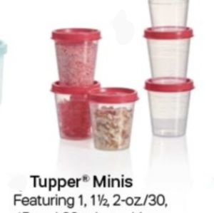 Tupperware 6pc tupper minis